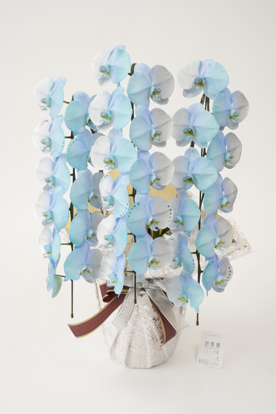 <p>花びらに塗装を施している為、お届け時点が最高の咲き誇り時期、見頃の状態となっているのが魅力的で、開店祝い、開業祝い、就任祝いなどのお祝い花として人気があります。</p>