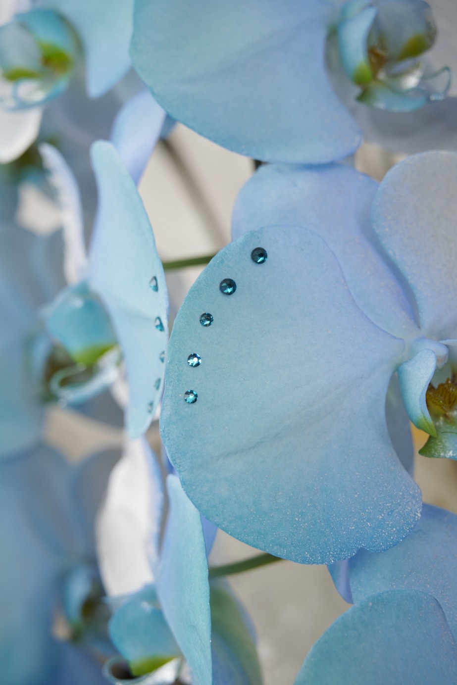 <p>多すぎないストーンの装飾が、高級感やエレガント感を演出します。</p>