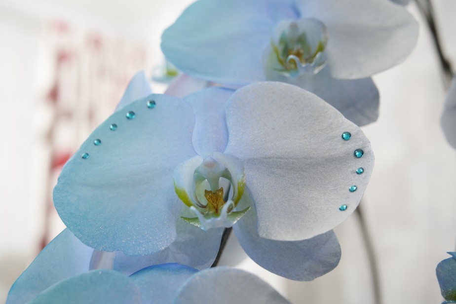 <p>華やかなストーンが付いたブルーとシルバーで1輪ずつグラデーションになっており、美しく、とにかく目立つの一言。</p>