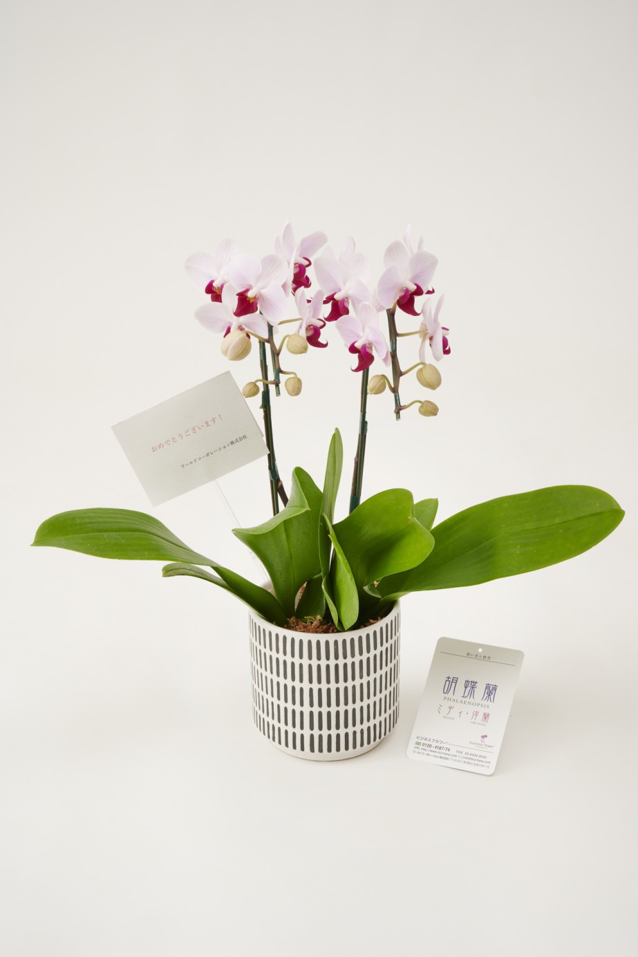 <p>ご希望の場合は無料でメッセージカードをご用意いたします。</p>