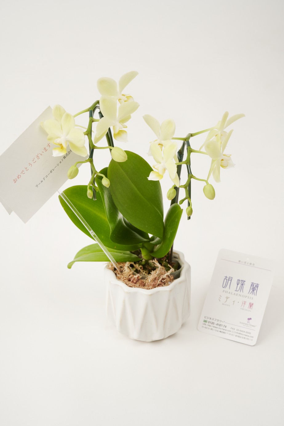 <p>ご希望の場合は無料でメッセージカードをご用意いたします。</p>