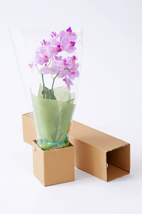 <p>丁寧に梱包いたしますので安心してお受け取りいただけます。</p>