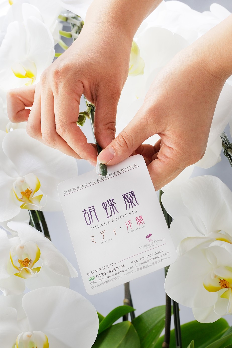 <p>管理方法や緊急連絡先が記載された品質保証カードを同封しておりますので、万一の配送トラブルにも迅速に対応ができます。</p>