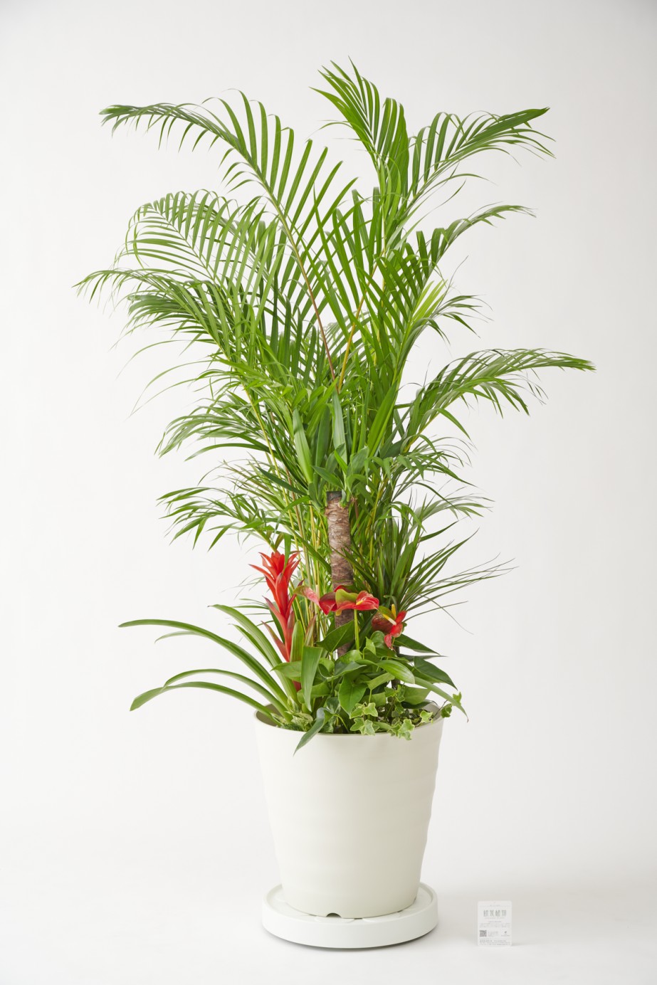 <p>ボリューム感満点な大型の観葉植物商品ですが、軽くて丈夫なキャスター付きのため簡単に移動ができるお届け先様にも思いやりのある商品です。</p>