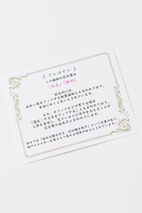 <p>縁起の良い観葉植物の花言葉を伝える「花言葉カード」が付いています。</p>