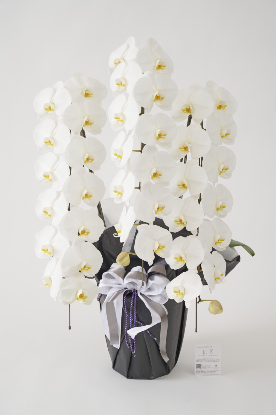 <p>胡蝶蘭は農林水産大臣賞を受賞した農園で生産されており、法人間のお祝いで用いられるものと同じ立派な大輪胡蝶蘭です。</p>