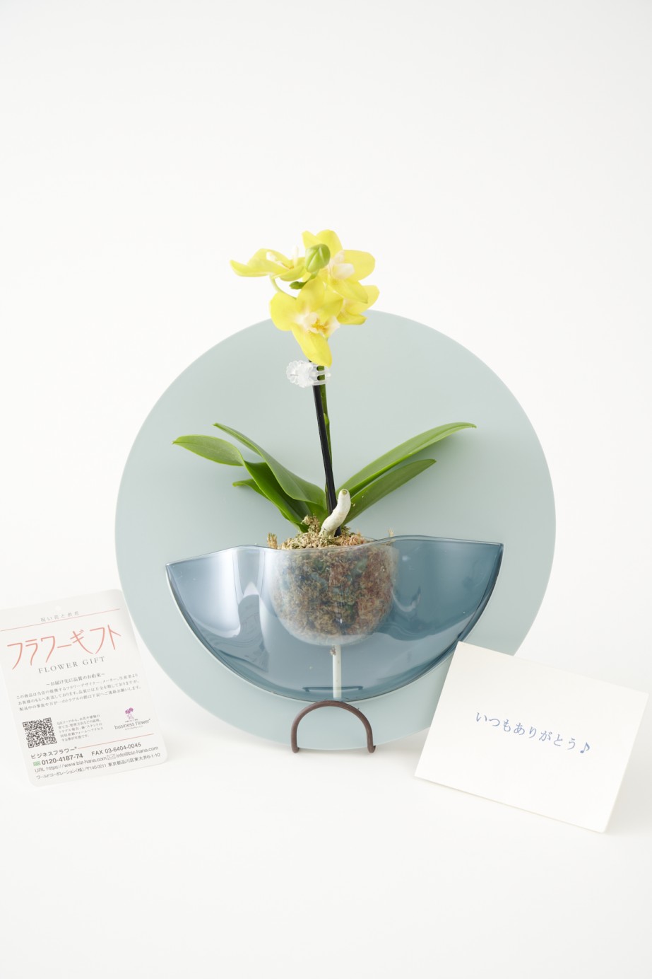 <p>無料でメッセージカードをお付けできます。内容は自由に記載いただけます。</p>