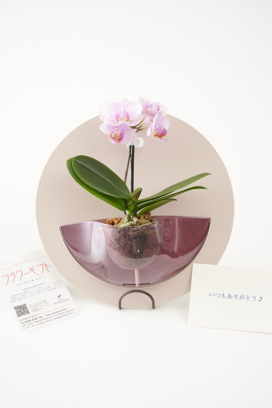 <p>無料でメッセージカードをお付けできます。内容は自由に記載いただけます。</p>