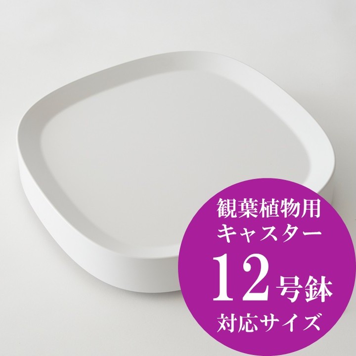 <p>前後左右への方向転換がしやすいキャスターがついており、移動が簡単です。掃除や日当たりに応じてお一人でも観葉植物の移動ができます。</p>