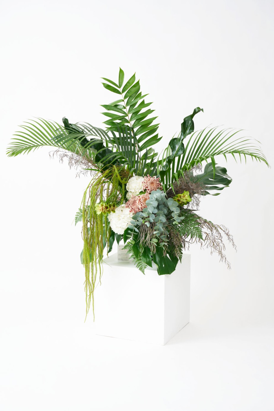 <p>植物の躍動感を表現したダイナミックなデザインが特徴的です。</p>