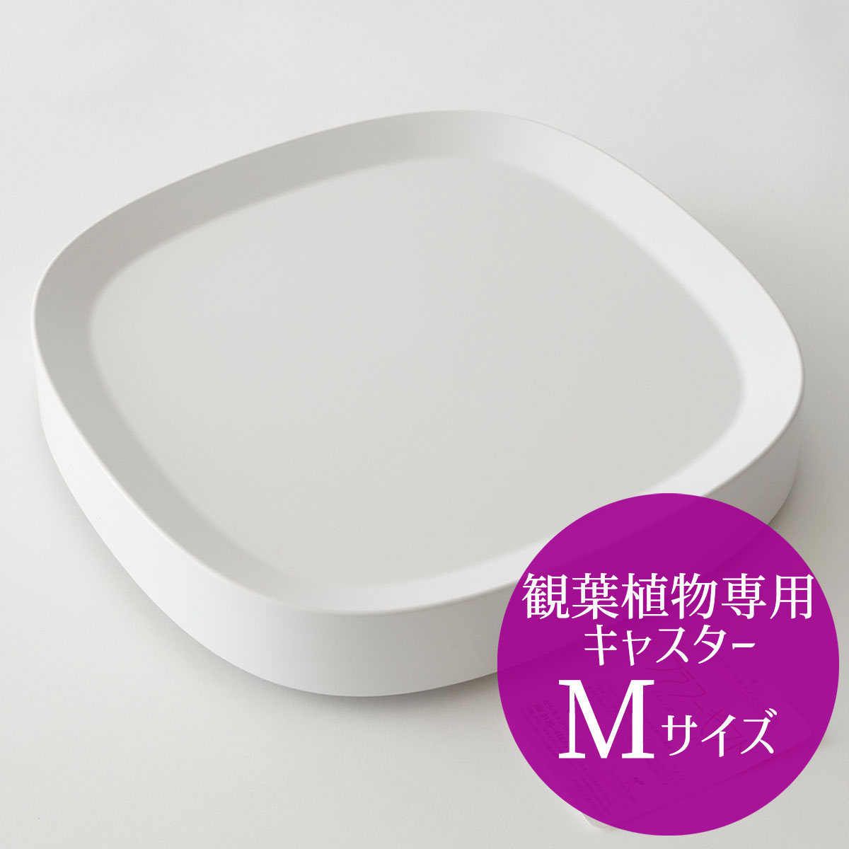 観葉植物専用キャスター（Mサイズ）